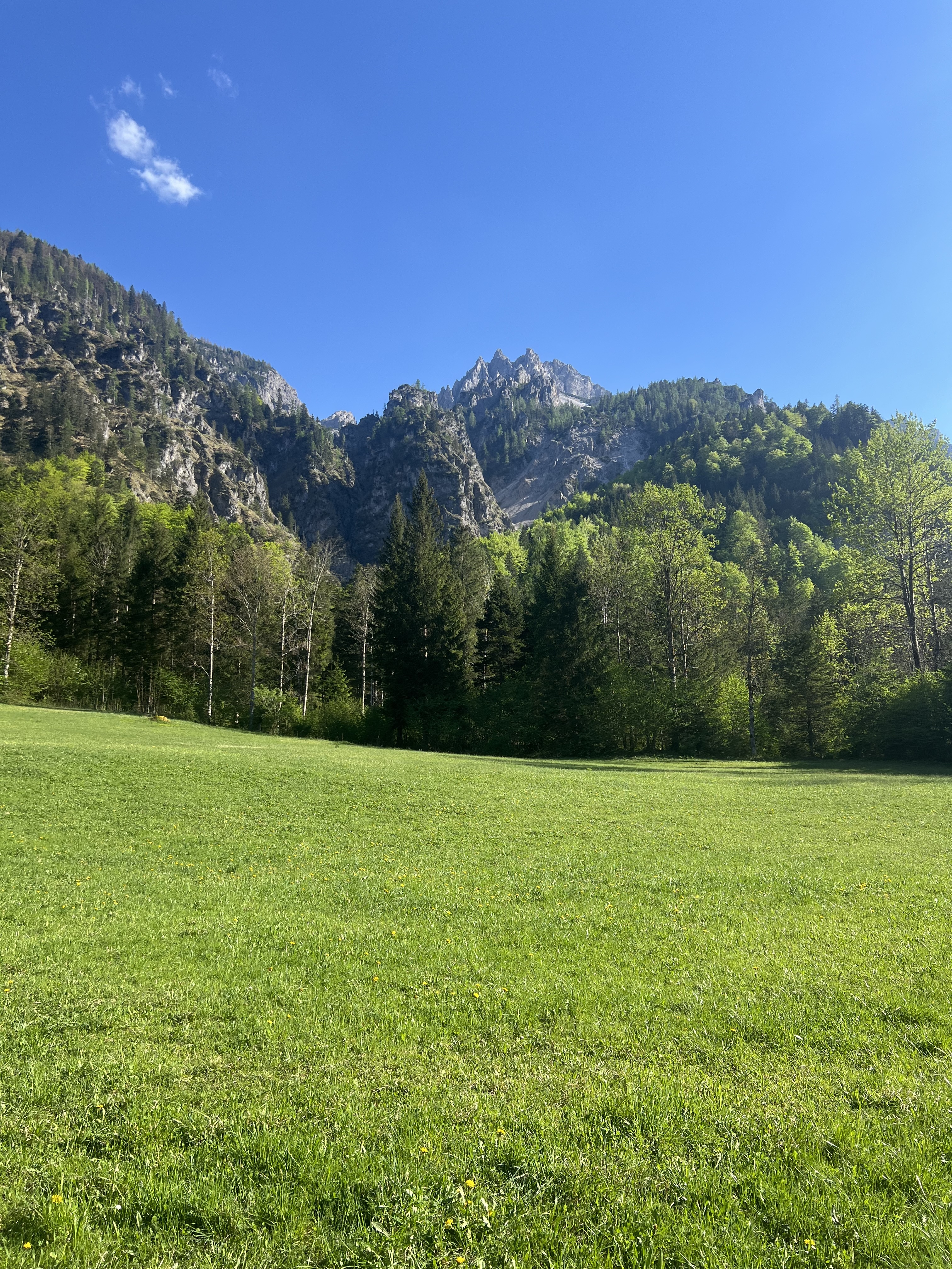 Bergpanorama Hinterstoder: Wiese, Wald und Gipfel