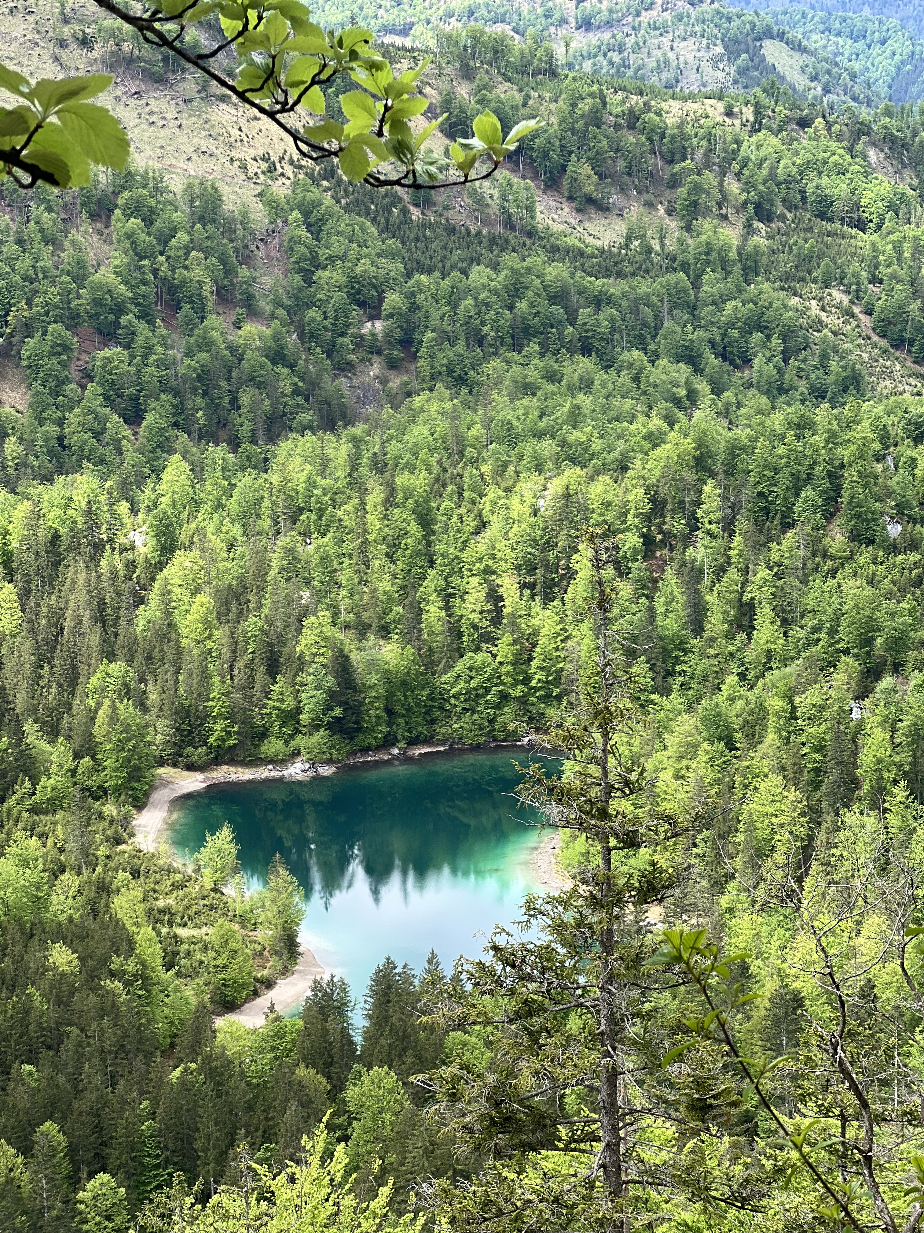 Türkisfarbener Bergsee im Wald