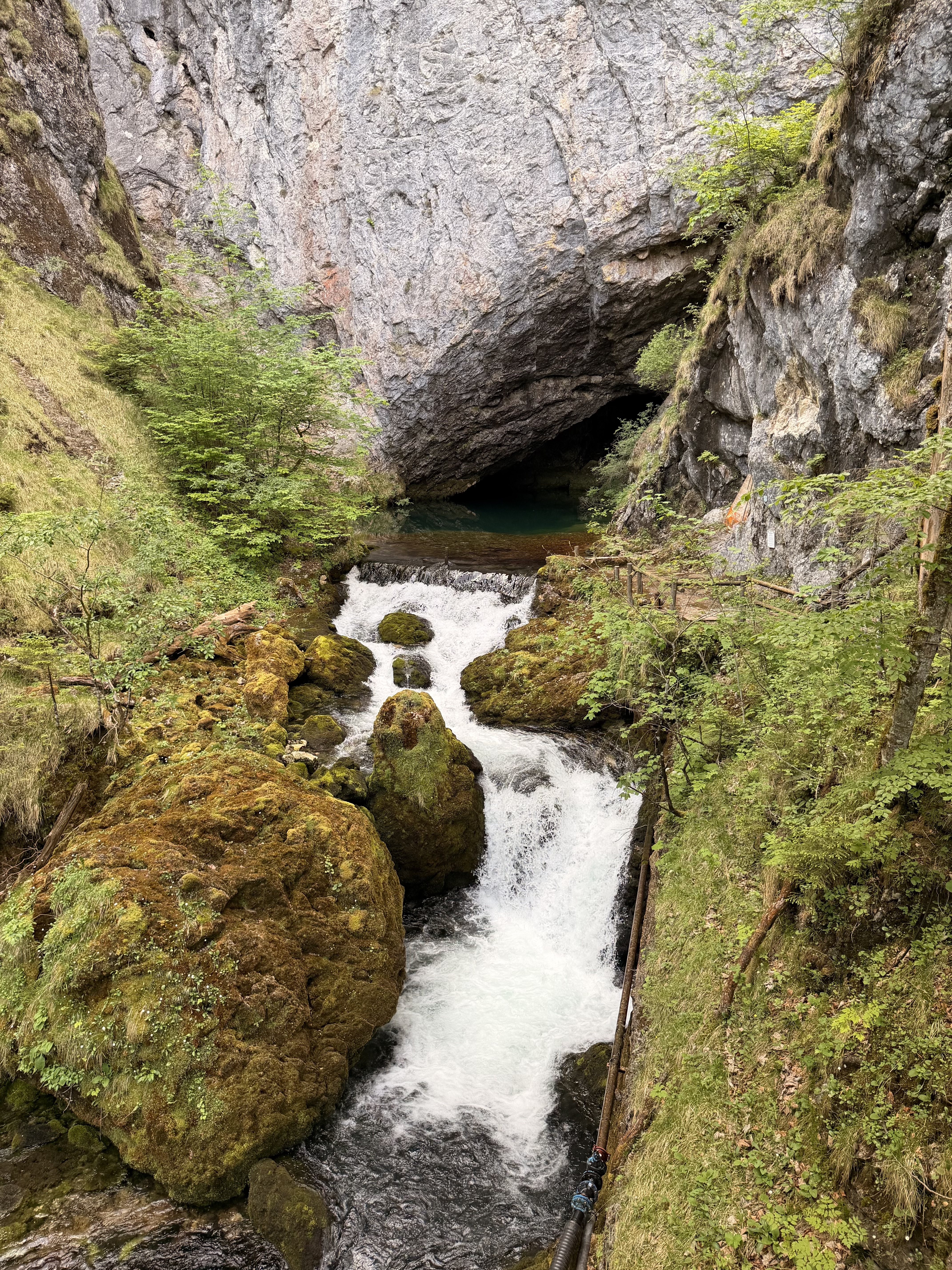 Pießling Ursprung — Wasser tritt aus dem Fels