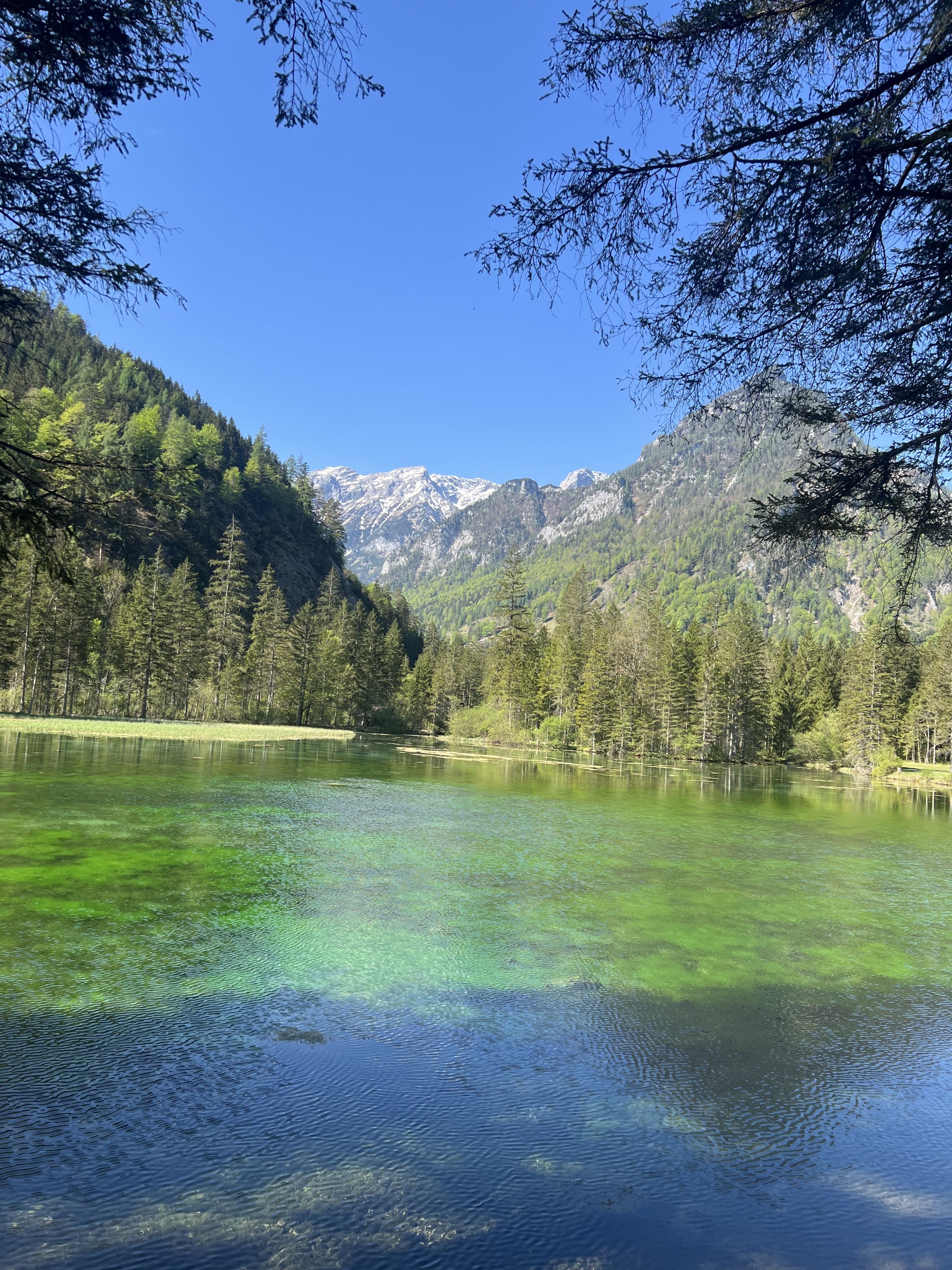 Schiederweiher mit Bergkulisse
