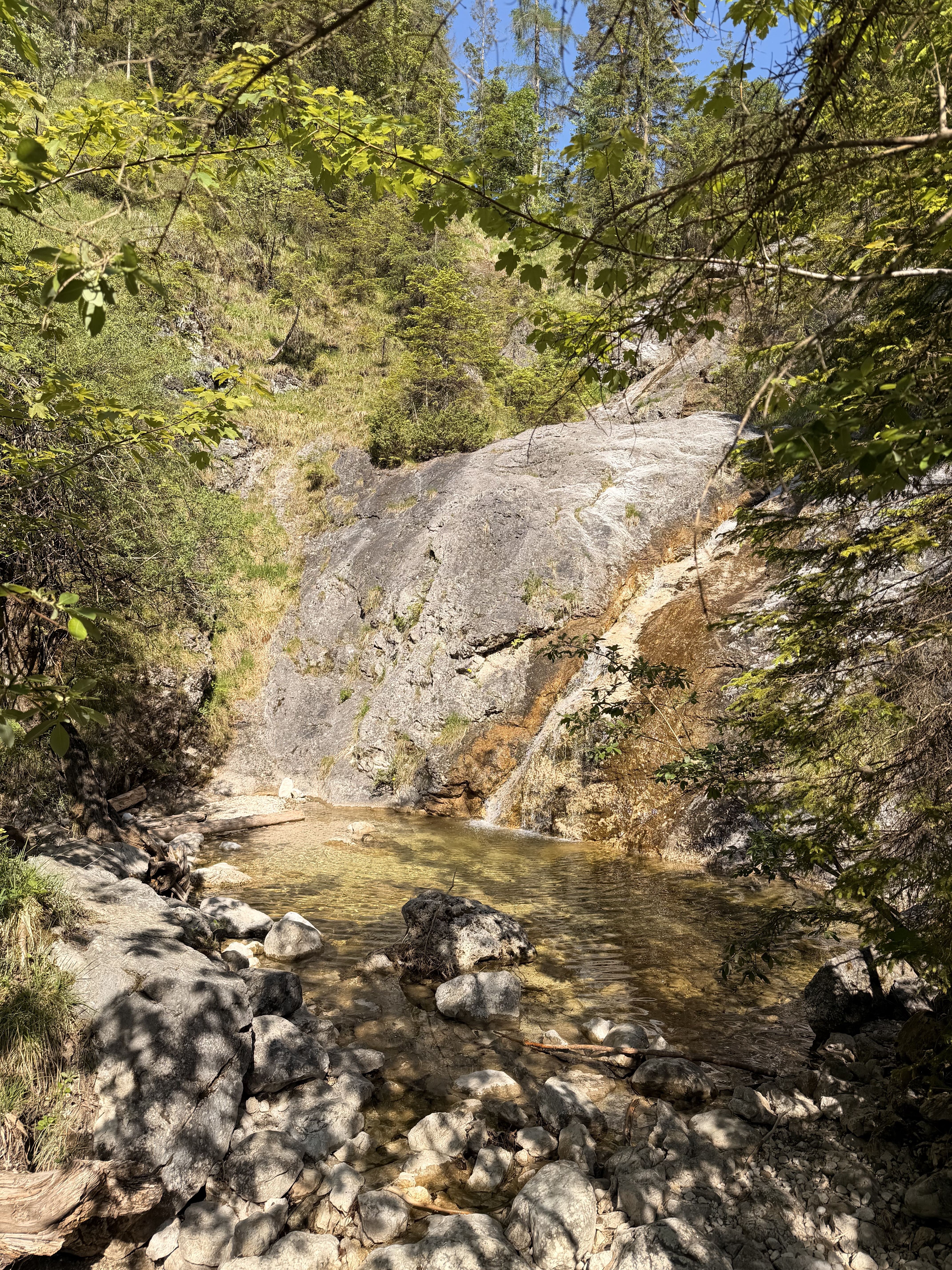 Wasserfall mit Gumpe im Wald